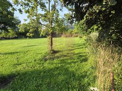Teren intravilan 1430 mp de vanzare in Brebu