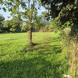 Teren intravilan 1430 mp de vanzare in Brebu
