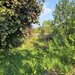 Teren intravilan 1430 mp de vanzare in Brebu
